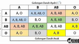 Golongan Darah A